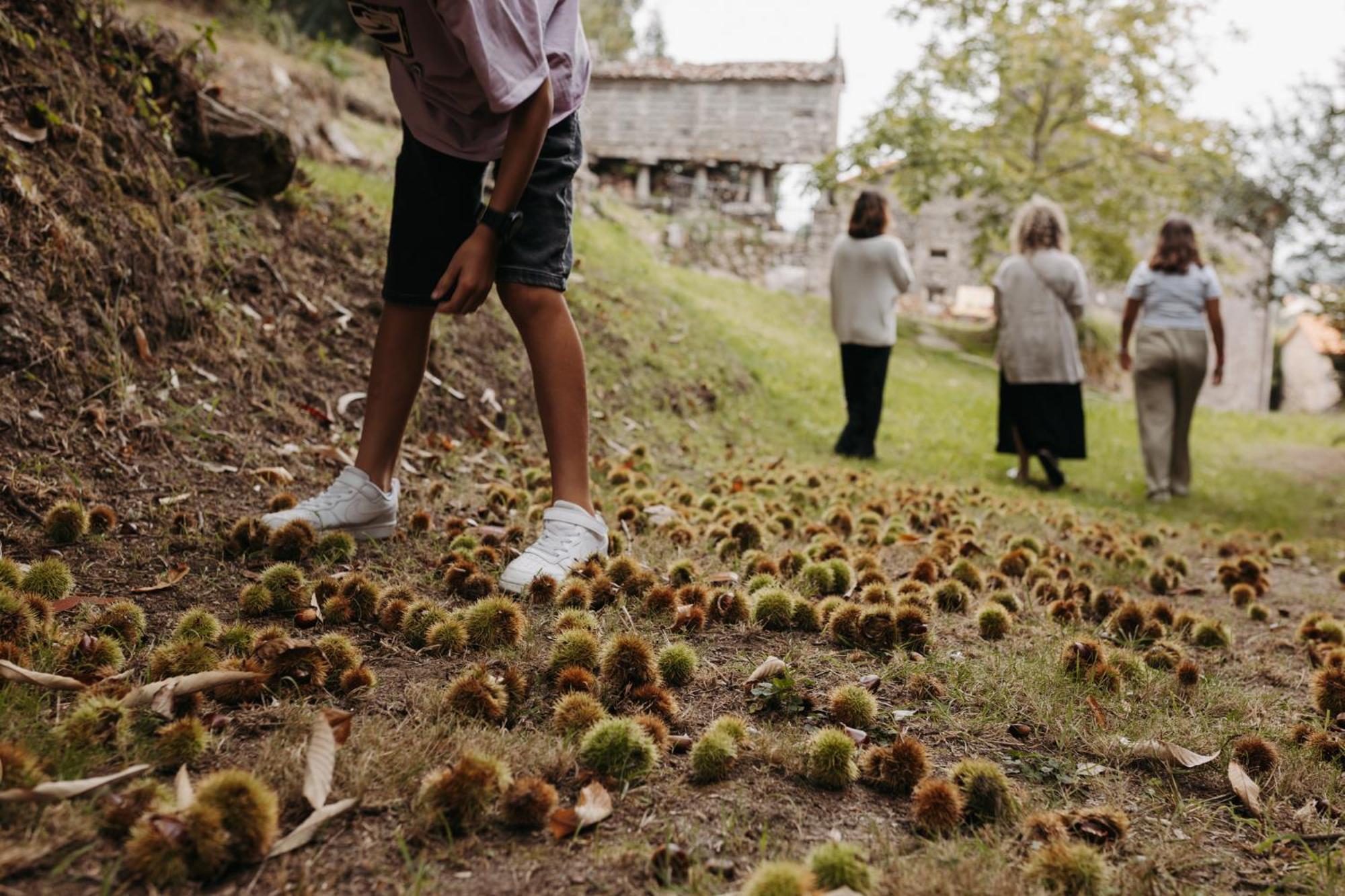 Arrueiro Pension Laxe Buitenkant foto